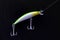 Colorful minnow fishing lure