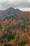 Colorful mixed forest and hills with gloomy clouds above