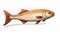 Colorful Moebius Red Fish Cartoon Image On Wood Grain Background