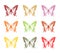 Colorful Monarch butterfly collection vector illustration with open wings.