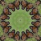 Colorful Monarch Butterfly Kaleidoscope 2