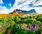 Colorful morning scene of Stokksnes cape with Vestrahorn Batman Mountain on background. Stunning summer scene of Iceland with fi