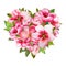 Colorful mother`s day heart with pink blossom and green leaves isolated on white