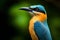 Colorful Motmot bird. Generate Ai