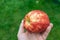 Colorful mottled apple in the hand of a man.