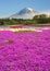 Colorful of mountain Fuji with flower field
