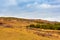 A colorful mountain valley in Bashang grassland