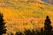 Colorful Mountainside in Fall