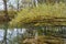 Colorful, multi-color leaves of trees in a river reflection. Early autumn morning on the Kazanka River in Kazan