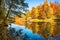 Colorful multi-colored autumn trees with reflections in the water of a pond in Tsaritsyno park in Moscow