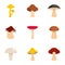 Colorful mushroom icon set, flat style