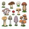 Colorful mushrooms set