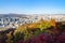 Colorful Namsan park and Seoul city from Nam mount