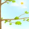 Colorful Nature Cartoon Background with Trees Sun Clouds for KIds Design