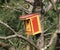 Colorful nesting box