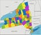 Colorful New York political map with clearly labeled, separated layers.