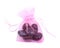 Colorful nylon gift bag with satin ribbon ties,