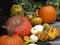 Colorful October Pumpkin Display on the Steps