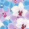 Colorful orchid flowers seamless pattern