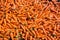 Colorful Organic carrots. Food background. Close-up, and washed carrots.