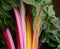 Colorful Organic Chard