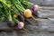 Colorful organic healthy black radishes and turnips for genuine gardening