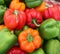 Colorful organic peppers