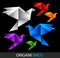 Colorful origami birds