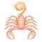 Colorful ornate zodiac sign scorpio