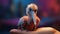 Colorful Orphaned Pelican: A Cute And Vibrant Render In Cinema4d