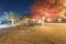 Colorful outdoor holiday tree lights and fall foliage at public