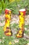 Colorful Pair of Wellies In Garden