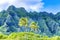 Colorful Palm Trees Green Mountain Kualoa Regional Park North Shore Oahu Hawaii