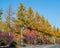 Colorful Panoramic street in autumn