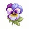 Colorful Pansy Flower Illustration In Classic Tattoo Style