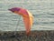 Colorful parasol beach umbrella on a pebble beach at sunset