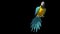 Colorful Parrot Alpha Matte Animals 3D Rendering Animation