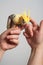 Colorful parrot bird sitting on a hand