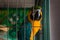 Colorful parrot in a cage