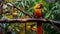 Colorful Parrot in Dense Jungle