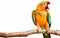 A Colorful Parrot Perched on a Branch Isolated on White -Generative Ai