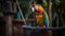 A colorful parrot perched on a swing chirping away created with Generative AI