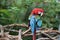 Colorful parrot perched on a wodden fence