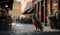 A colorful parrot posing on a cobblestone street