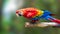 Colorful Parrots bird on nature background. Red and blue Marcaw on the branches.