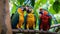 Colorful parrots bringing vibrancy to the verdant canopy with their animated chatter in the rain forest