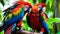 Colorful parrots bringing vibrancy to the verdant canopy with their animated chatter in the rain forest