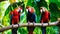 Colorful parrots bringing vibrancy to the verdant canopy with their animated chatter in the rain forest