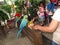 Colorful Parrots, Manila Zoo, Manila, Philippines