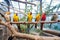 colorful parrots perched on wooden branches in an aviary